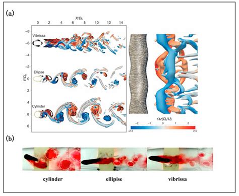 A Review of the Application of Seal Whiskers in Vortex-Induced ...