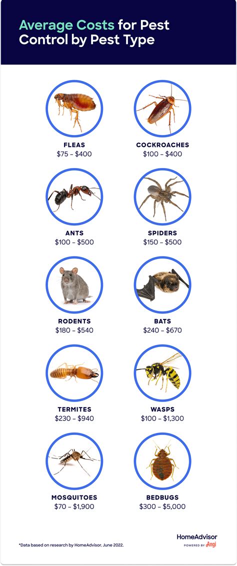 How Much Does an Exterminator Cost?