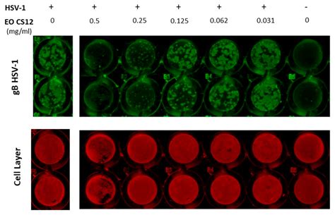 Experimental Data Based Machine Learning Classification Models with ...