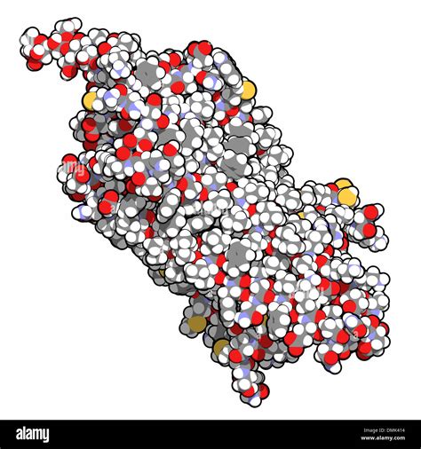 rhodopsin (visual purple) light perception protein, chemical structure ...