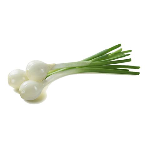 Spring Onion