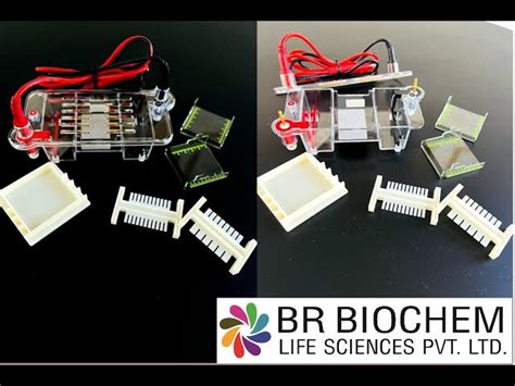Electrophoresis System - Vertical Gel Electrophoresis System Trader ...