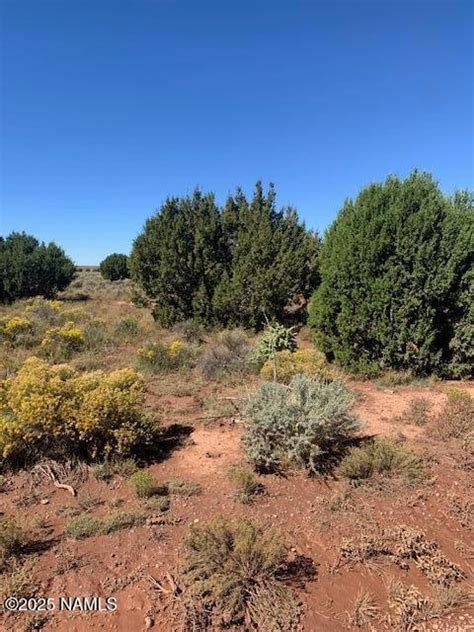 1292 E Indian Meadows Rd, Williams, AZ 86046 [Lot/Land] | Homes.com