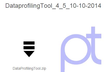 Data Profiling Tool v4.5 Dated 10.10.2014