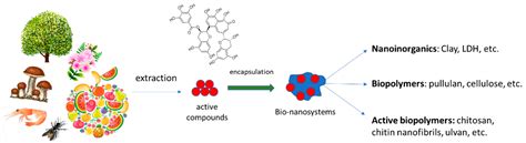 Polymeric Substrates Modification with Biobased Functional Compounds
