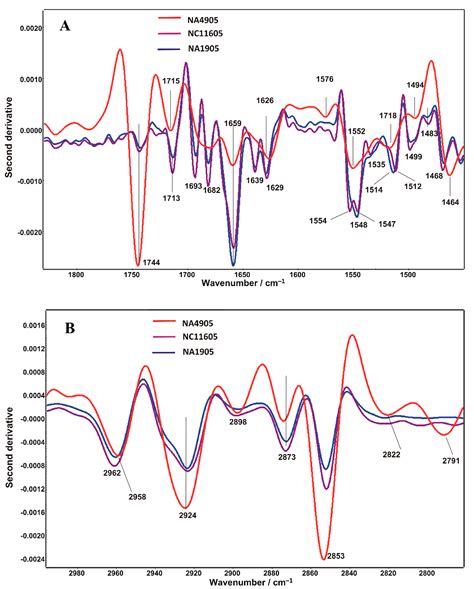 Evaluation of Proteomic and Lipidomic Changes in Aeromonas-Infected ...