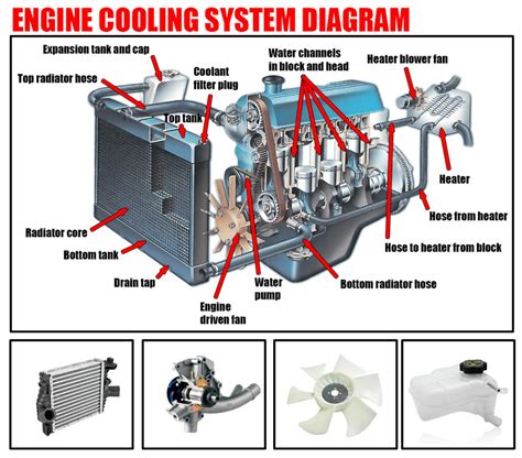 Image result for Engine Cooling System Basics