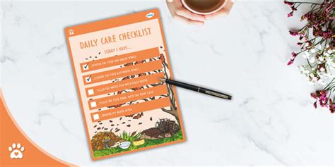 Feeding Hedgehogs - Daily Checklist - Wildlife - Twinkl Pets