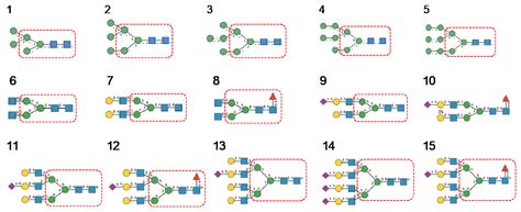 Man-Specific Lectins from Plants, Fungi, Algae and Cyanobacteria, as ...