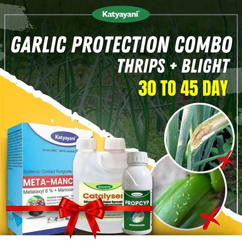 Buy Katyayani Garlic Protection Combo | Save Upto 50% Today