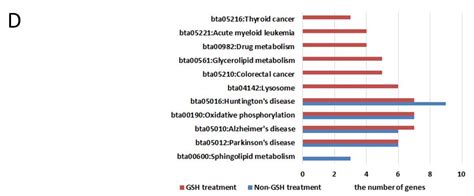 Long Non-Coding RNA and mRNA Profiling in Early-Stage Bovine Embryos ...