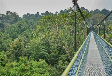 Bukit Timah Nature Reserve in Singapore: Ticket To Paradise