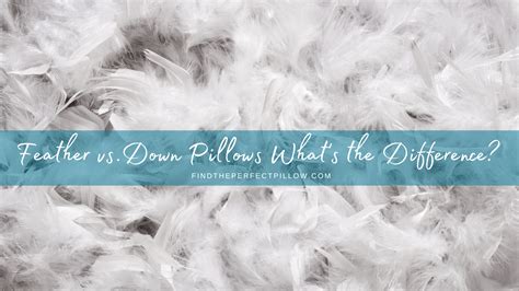 Feather vs. Down Pillows What's the Difference? | Find the Perfect Pillow