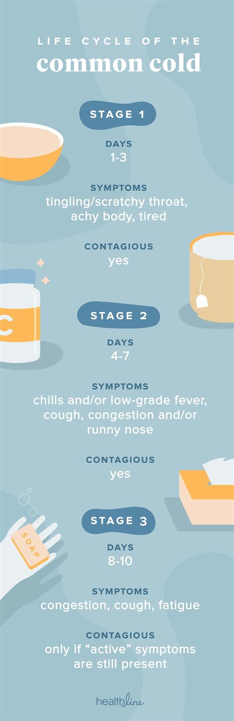 Common Cold Timeline