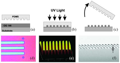 Photonics on a Budget: Low-Cost Polymer Sensors for a Smarter World
