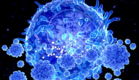 Triggers of autoimmunity | British Society for Immunology