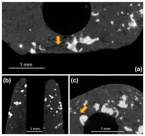X-CT Reconstruction as a Tool for Monitoring the Conservation State and ...