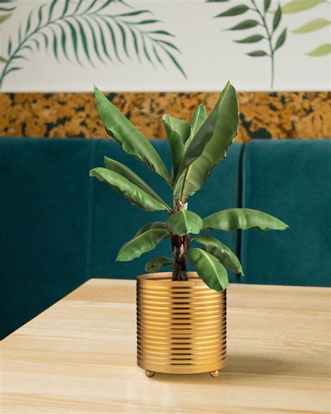 Planters Online: Buy Planters Online in India at Best Price 2025