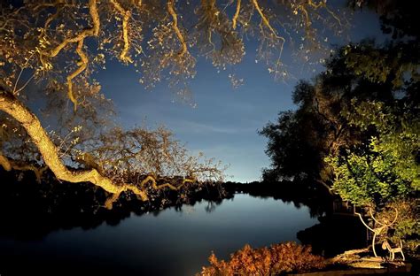 iPhone Photography and Haiku Exhibit, Logos Books, Davis, 13 September ...