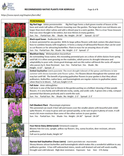 List of recommended native plants for Kerrville | Texas