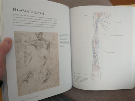 Buy Dynamic Human Anatomy: An Artist's Guide to Structure, Gesture, and ...