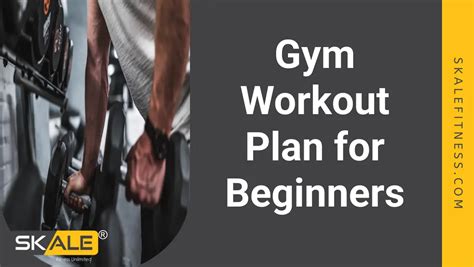 Image result for Beginners Exercise Plan
