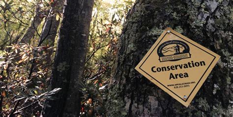 Conservation Area Sign 的图像结果