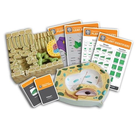 Image result for Plant Science Kit