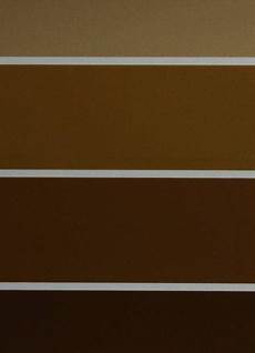 Brown Shade by Painting A Room Brown Different Shades Of Brown Painting Brown Shade