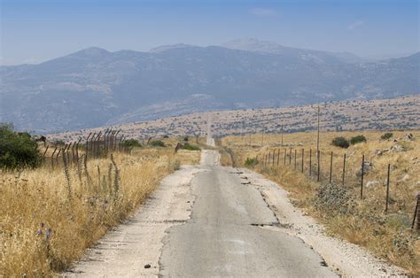 Bumpy Road Test 的图像结果