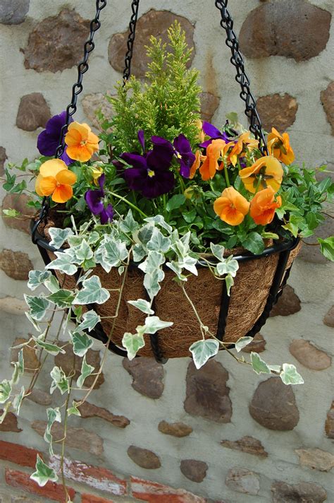Beautiful Work Plants For Pots And Hanging Baskets Macrame Hanger With Pot