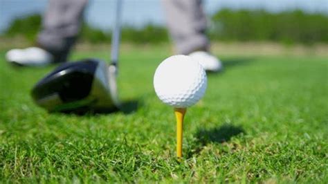 Golf运动 的图像结果