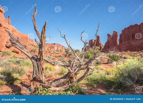 American Southwest Desert Landscape Red Sandstone Stock Image - Image ...