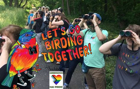 Lets Go Birding Together! A Pride Month Birding Tour, Greenwich Audubon ...