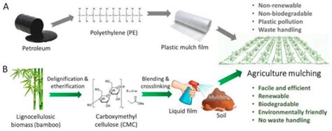 Replacing Plastic with Bamboo: A Review of the Properties and Green ...