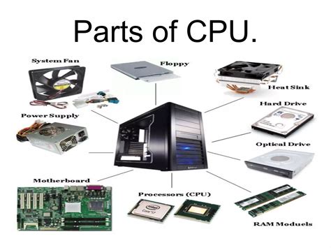 Image result for Computer CPU Types