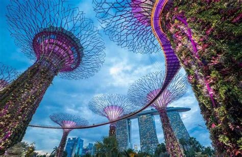 新加坡银行开户流程_注意事项 - 鹰飞国际