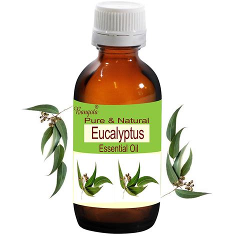 Axe Oil, 3 ml Price, Uses, Side Effects, Composition - Apollo Pharmacy