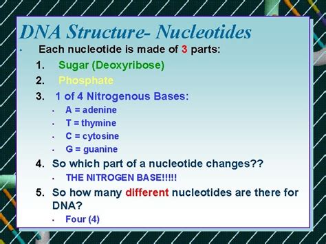 DNA Basic Unit 的图像结果