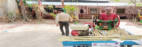 Support for Marginalized Individuals for Livelihood and Enterprise