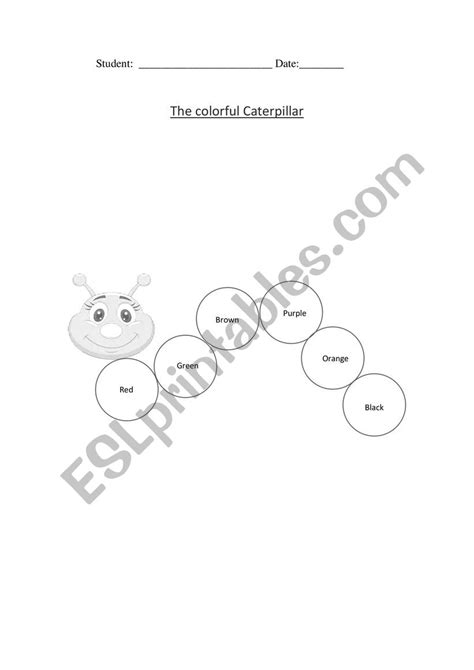 Image result for CodeHS Colorful Caterpillar Answers