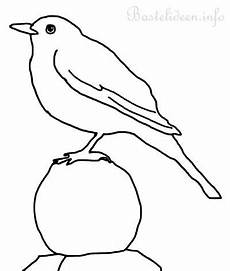vogel malvorlagen lyrics search results for ausmalbild vogel calendar 2015 vogel malvorlagen lyrics search results for ausmalbild vogel calendar 2015