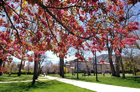 CU Boulder offers support after death of missing student Misha Solok ...