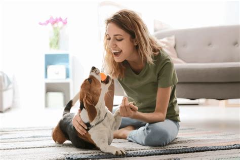 54 Best dog gifts for 2026 (custom, fun & sellable picks)