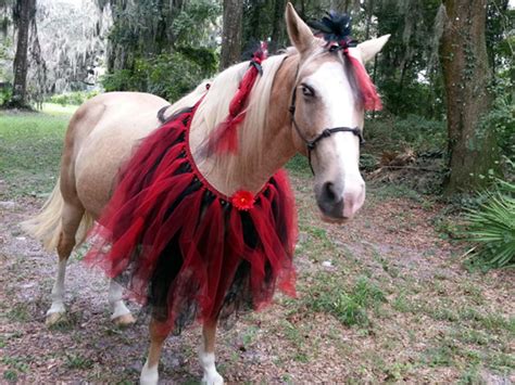 Dog Horse Costume For Sale at Mikayla Whish blog