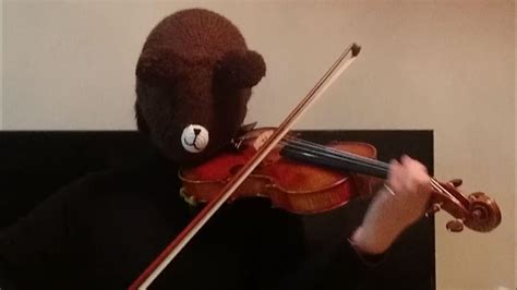 小提琴独奏真的不好听么？ - 知乎