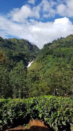 Attukal Waterfalls (Munnar) - 2019 What to Know Before You Go (with ...