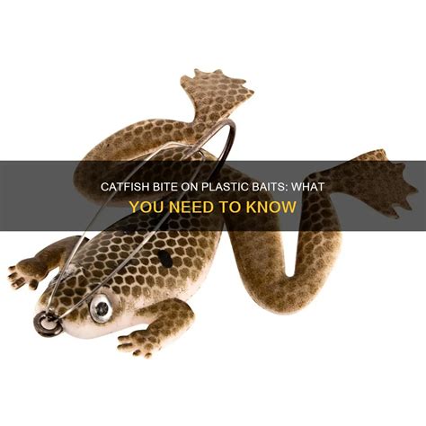 Catfish Bite On Plastic Baits: What You Need To Know | ShunPoly