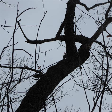 POTOMAC OVERLOOK REGIONAL PARK - All You Need to Know BEFORE You Go ...