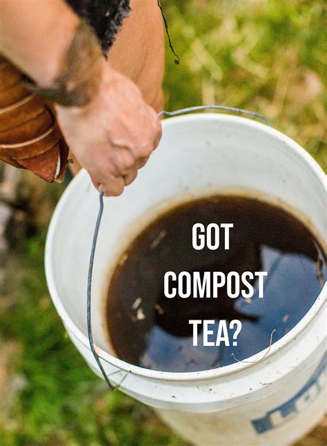 The Only Compost Tea Recipe You'll Ever Need | WILD ABUNDANCE | Compost ...